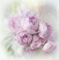 Flower Fantasy