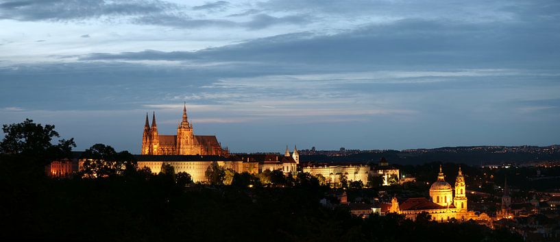 Prager Burg von Danny van Schendel
