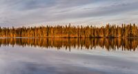Weerspiegelingen in de midzomernacht