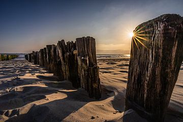 Strandpfosten von Jolanda Bosselaar