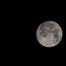 Überglücklich von Ronald Buitendijk