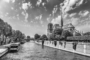Cathédrale de PARIS Notre-Dame | Monochrome sur Melanie Viola
