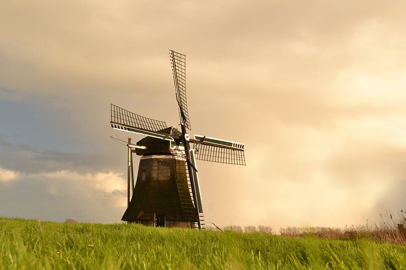 windmail by Michel Aalders