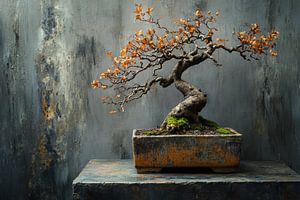 Ein alter Ahorn-Bonsai in einem rustikalen Topf