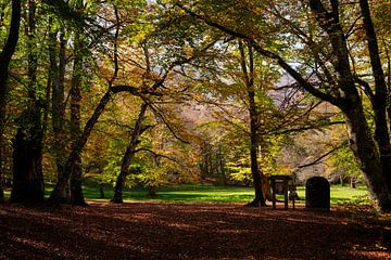 Pescocostanzo Bosco di Sant Antonio 8 van Martijn Jebbink Fotografie