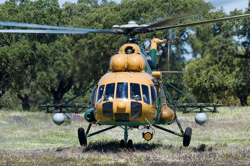 Hongaarse Luchtmacht Mi-17 Hip van Dirk Jan de Ridder - Ridder Aero Media