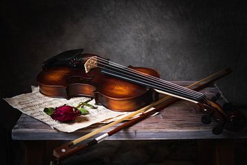 Geige mit Rose von Mariette Kranenburg