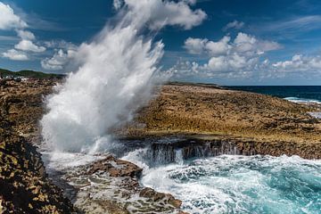 Boka Pistal dans le parc national de Shete boka, Curaçao sur Manon van Os