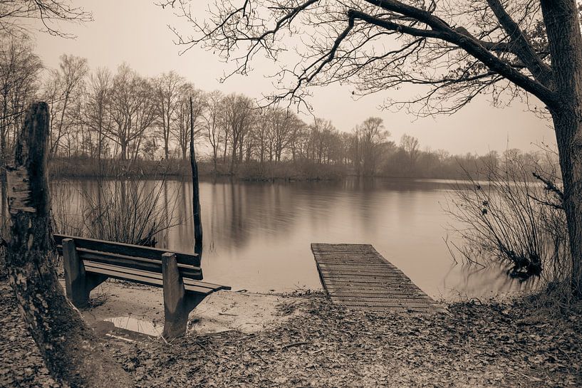 View over the Leemputten Nature Park by Artist Impression of Nature