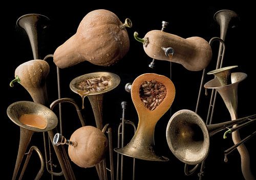 Butternut trompet