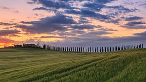 Sonnenaufgang am Poggio Covili, Toskana