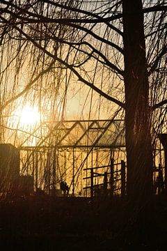 De zonsondergang achter de kas van Sjoerd Murk