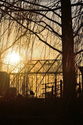 De zonsondergang achter de kas von Sjoerd Murk