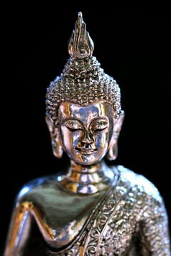 Zilveren boeddha van Jolanta Mayerberg