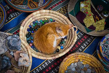 Eine Katze, die auf Murmeln auf dem Markt von Marrakesch liegt von Bart Hageman Photography