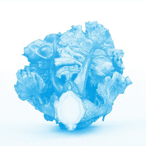 Flower sprout in cyan