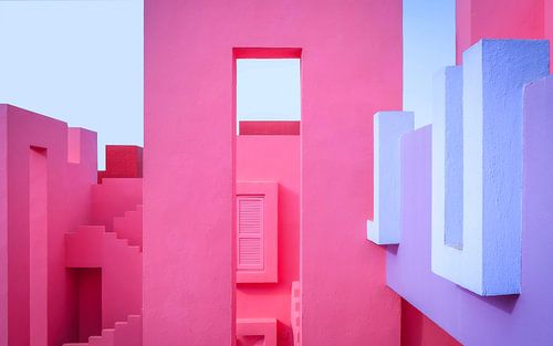 Robijnrood, roze, hemelsblauw en paars.