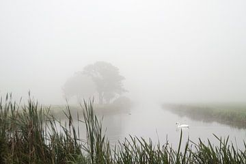 Misty morning van Esther Wagensveld