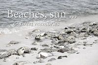 Seaview with text.