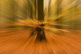 Autumn in the Netherlands in an artful way. by Franke Fotografie