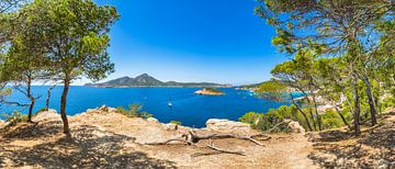 Panoramablick auf die Küste von Sant Elm mit den natürlichen Sehenswürdigkeiten der Inseln Sa Dragon von Alex Winter