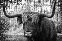 Hier bin ich