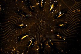 Times of gold by Photoart-Naegele