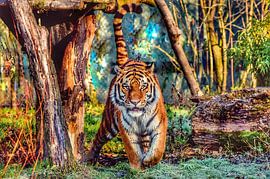 Tigersprung von Truckpowerr