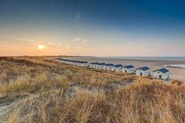 Vrouwenpolder by Andy Troy