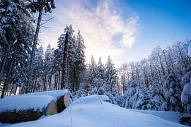Winter wonder in the Sauerland by Lorant Petrik