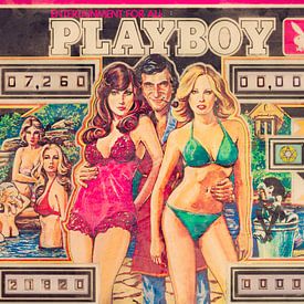 De Playboy Flipperkast van Martin Bergsma