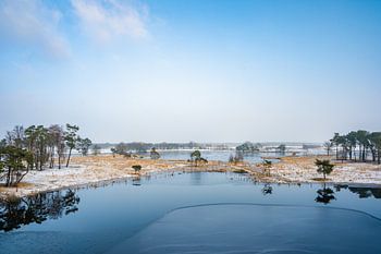 Gebiet Turnhouts Vennen