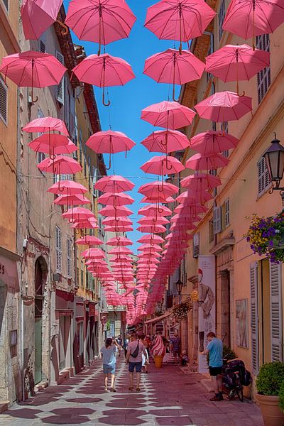 Vive le parapluie by Peter Bartelings