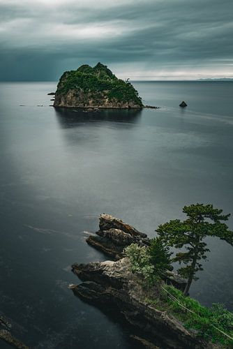 Zen moment: Lonely island and pine tree in the calm ocean