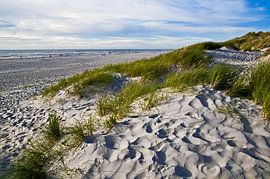 Dune de sable paradisiaque sur la plage de Henne dans le Jutland