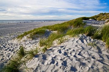 Dune de sable paradisiaque sur la plage de Henne dans le Jutland sur Silva Wischeropp