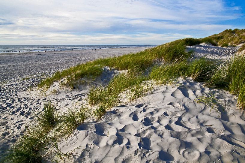 Paradiesische Sanddüne am Henne-Strand in Jütland   von Silva Wischeropp