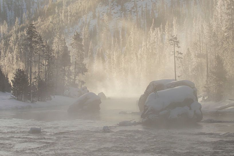 Christmas Tree Rock by Anja Stolwijk