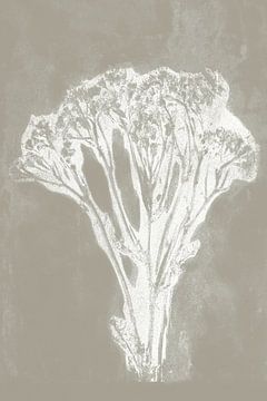 White flower  in retro style. Modern botanical minimalist art in concrete grey and white by Dina Dankers