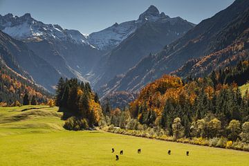 Trettachdal in de Allgäu van Walter G. Allgöwer