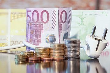 Verschillende euro's biljetten en munten van Marcel Derweduwen