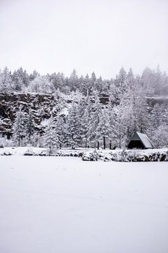 Korte winterwandeling in het besneeuwde Thüringer Woud bij Floh-Seligenthal - Thüringen - Duitsland van Oliver Hlavaty