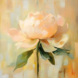 Pivoine en pleine floraison