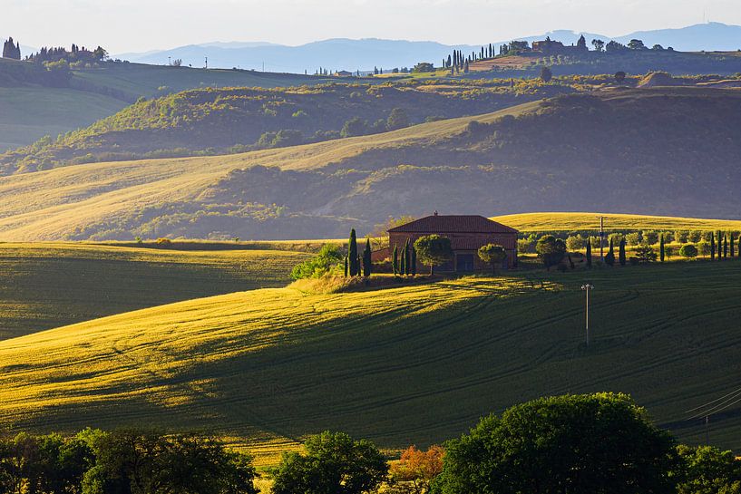 Ochtendlicht in Val d'Orcia, Toscane, Italië van Henk Meijer Photography