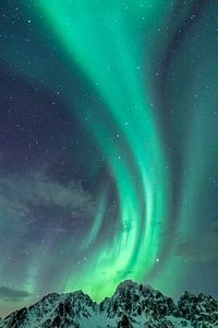 Nordlichter, die von den schneebedeckten Bergspitzen der Lofoten in Nordnorwegen aufsteigen