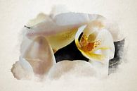 Aquarele van de binnenkant van een orchidee van Youri Mahieu thumbnail