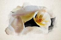 Aquarele van de binnenkant van een orchidee