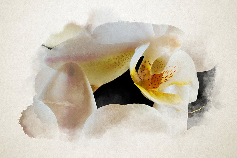 Aquarele van de binnenkant van een orchidee van Youri Mahieu