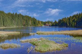 Naturschutzgebiet Grosser Arbersee,Bayerischer Wald,Deutschland von Peter Eckert
