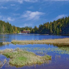 Réserve naturelle Grosser Arbersee,Forêt bavaroise,Allemagne sur Peter Eckert